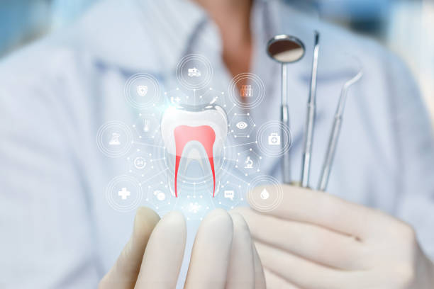 Why Choose Us for Your Dental Needs in West Frankfort, IL